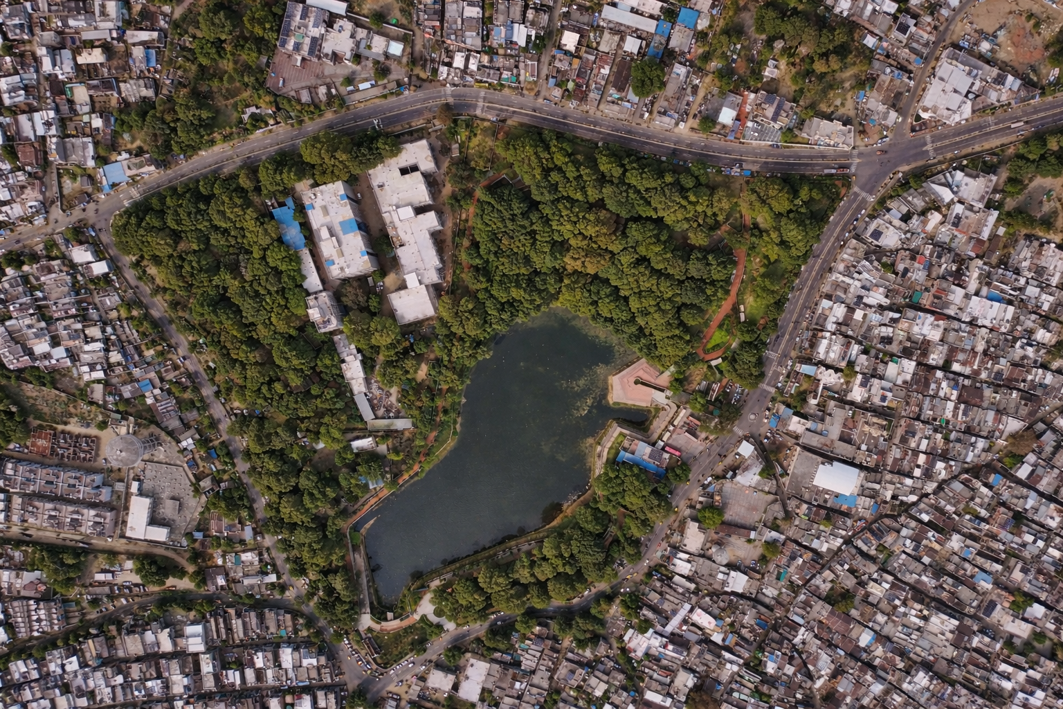 Restored urban lake surrounded by tree cover