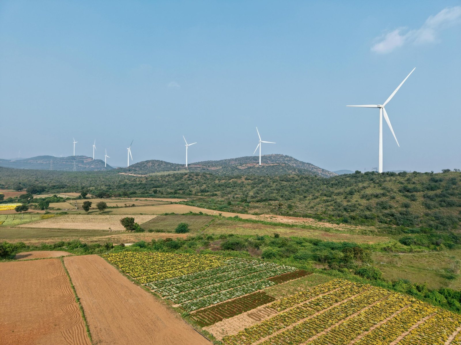 Wind Farm (Pavan Urja)