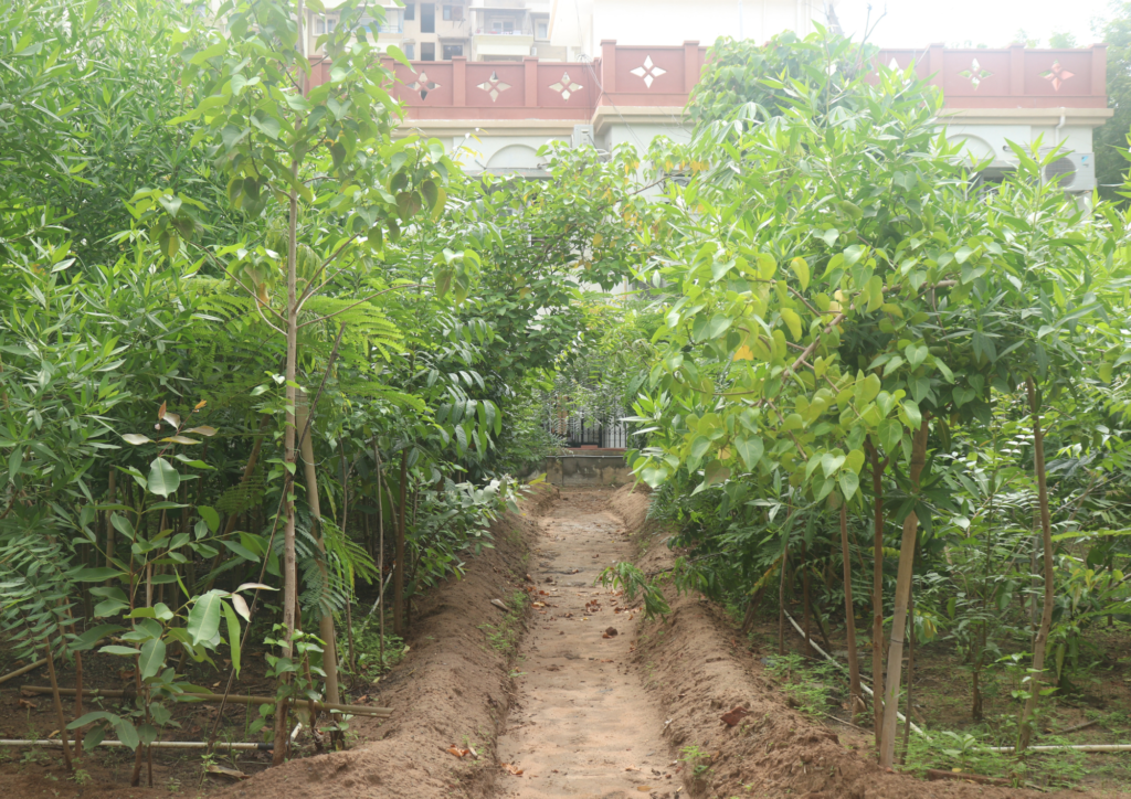 Green Leaf field work